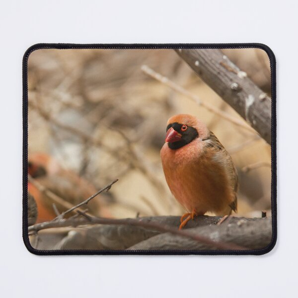 Item preview, Southern Red Bishop designed and sold by Dominika Aniola.
