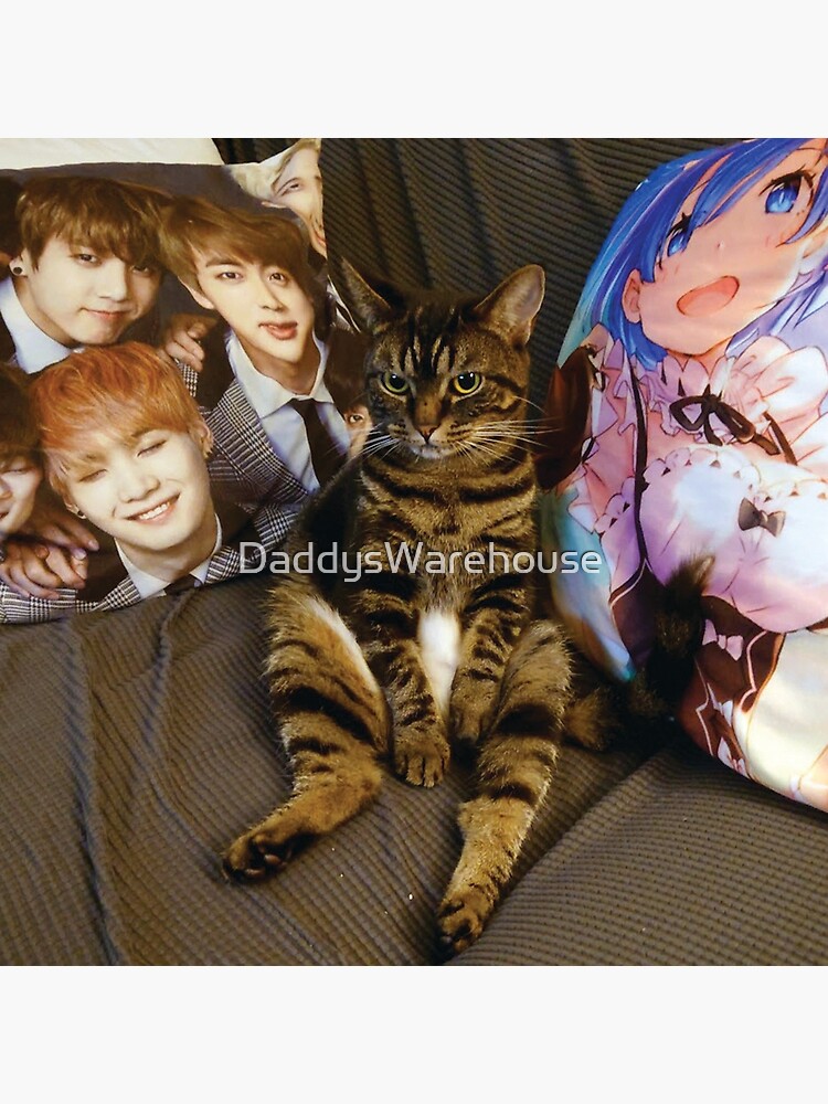 Cat sitting weeb Pillow