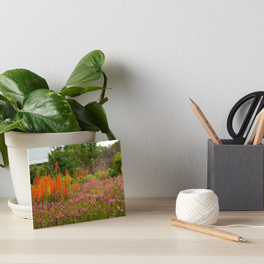 Item preview, Art Board Print designed and sold by Riddick4x5.