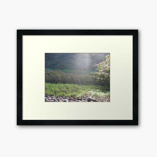 Light Framed Art Print
