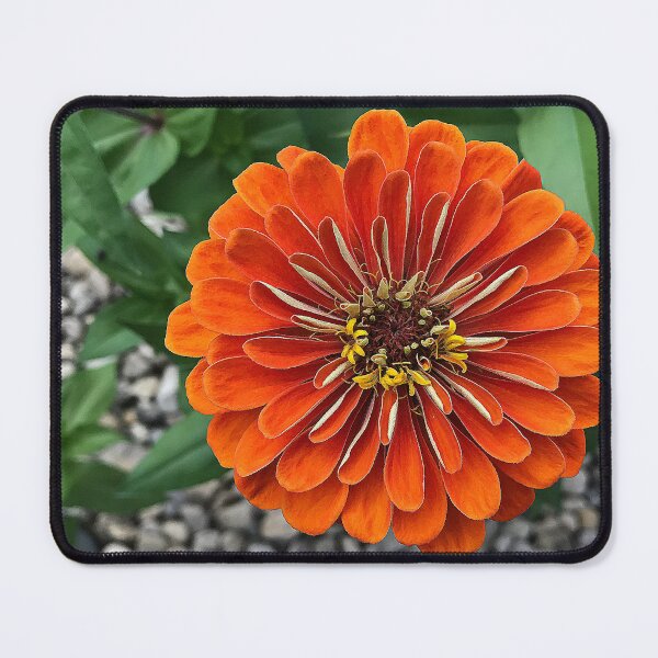Item preview, Clarity designed and sold by ErinBrieArt.