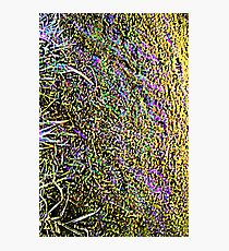 Energetic Photographic Print