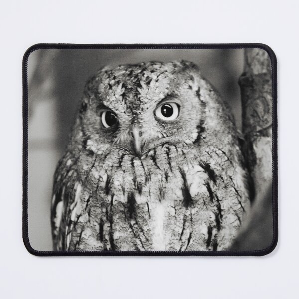 Item preview, Little Owl designed and sold by Dominika Aniola.