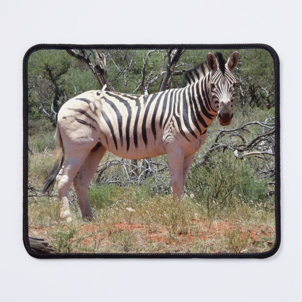Item preview, Zebra designed and sold by Taceo10.