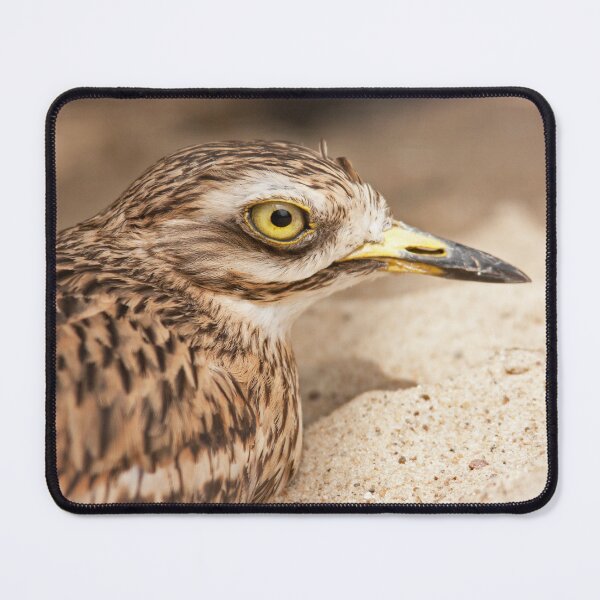 Item preview, Stone-Curlew designed and sold by Dominika Aniola.