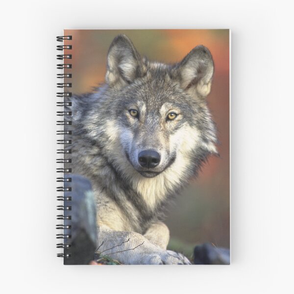 Item preview, Wolf designed and sold by Taceo10.