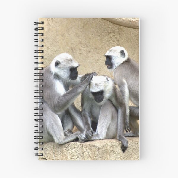 Item preview, Three Monkeys designed and sold by Taceo10.