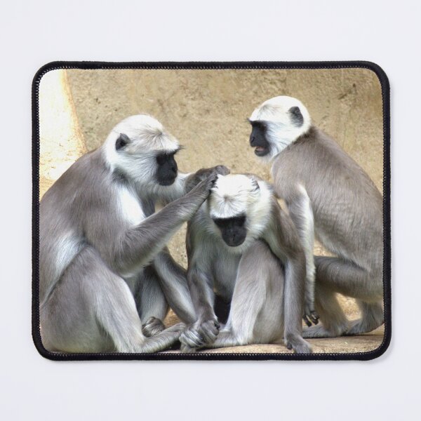 Item preview, Three Monkeys designed and sold by Taceo10.