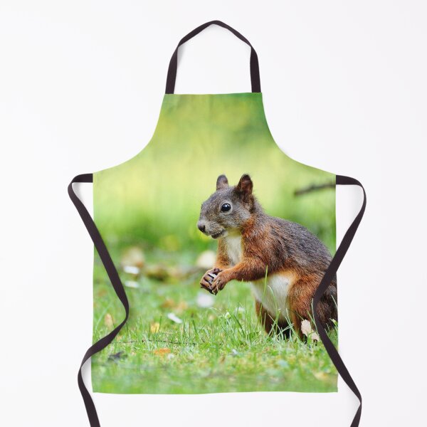 Item preview, Cute Squirrel designed and sold by Taceo10.