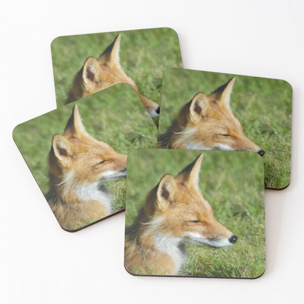 Item preview, Red fox in Katmai Alaska, just sitting in the grass enjoying the sunset - WelshDesigns designed and sold by welshdesigns.