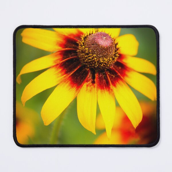 Item preview, Rudbeckia designed and sold by JEZ22.