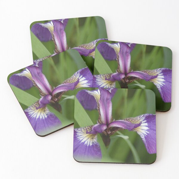 Item preview, Wild flower from Katmai Alaska - WelshDesigns designed and sold by welshdesigns.