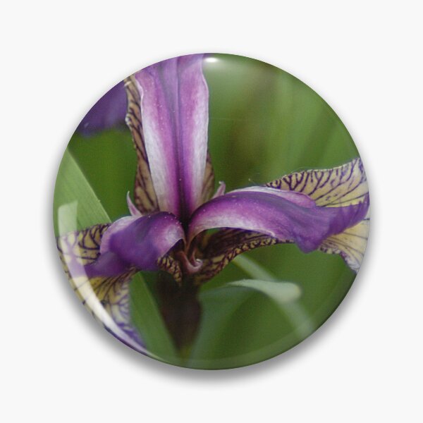 Item preview, Wild flower from Katmai Alaska - WelshDesigns designed and sold by welshdesigns.