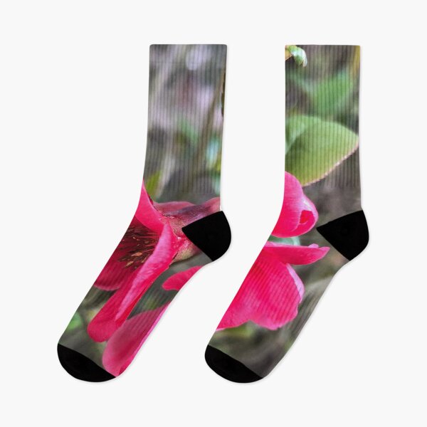 Item preview, Ring in the Pink Bells with Sweet Forest Bathing designed and sold by Photomersion.