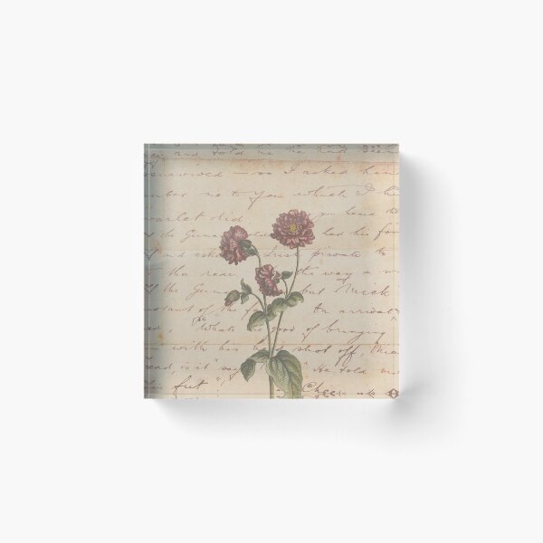Item preview, Old book page and flowers designed and sold by Beeroclock.