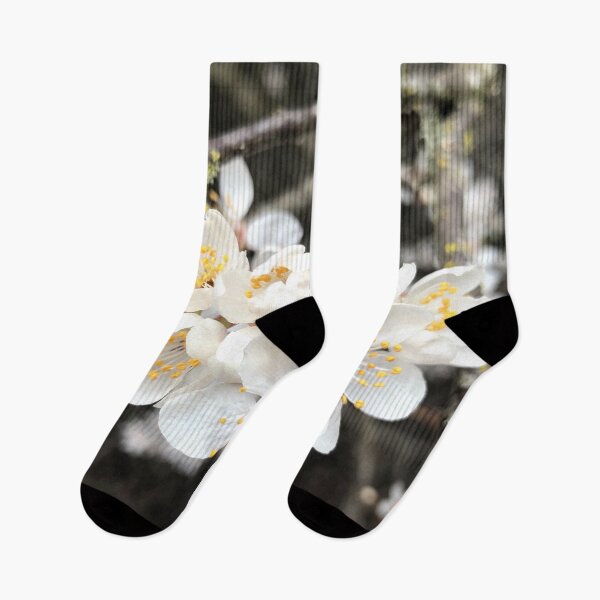 Item preview, Tender Blooming Springtime in the Forest designed and sold by Photomersion.