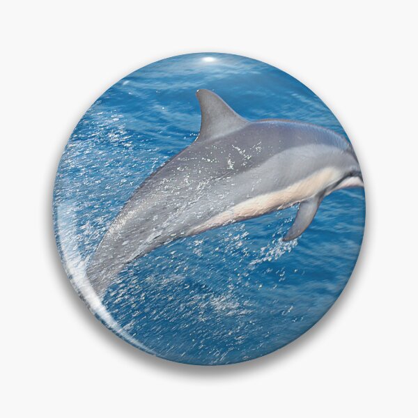 Item preview, Dolphin jumping out of the water off the island of Maui Hawaii - WelshDesigns designed and sold by welshdesigns.