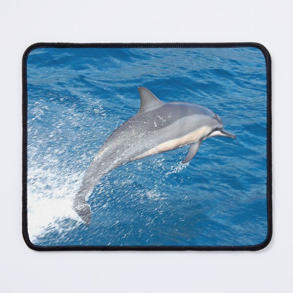 Item preview, Dolphin jumping out of the water off the island of Maui Hawaii - WelshDesigns designed and sold by welshdesigns.