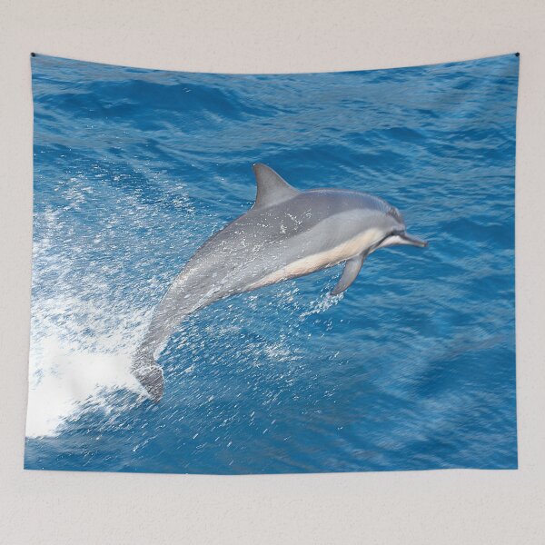 Item preview, Dolphin jumping out of the water off the island of Maui Hawaii - WelshDesigns designed and sold by welshdesigns.