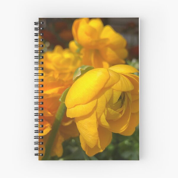 Item preview, Precious and Tender Orange and Gold Ranunculus  designed and sold by Photomersion.