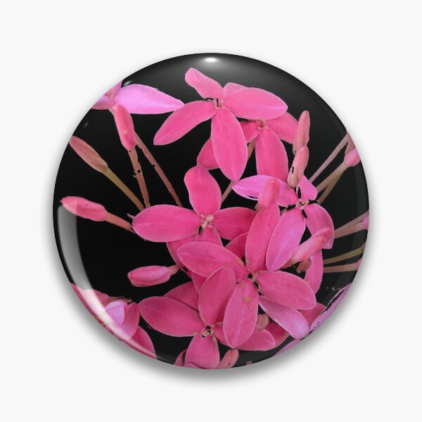 Artikelvorschau, Rosa Blumen von Florida entworfen und verkauft von DentistArt2022.