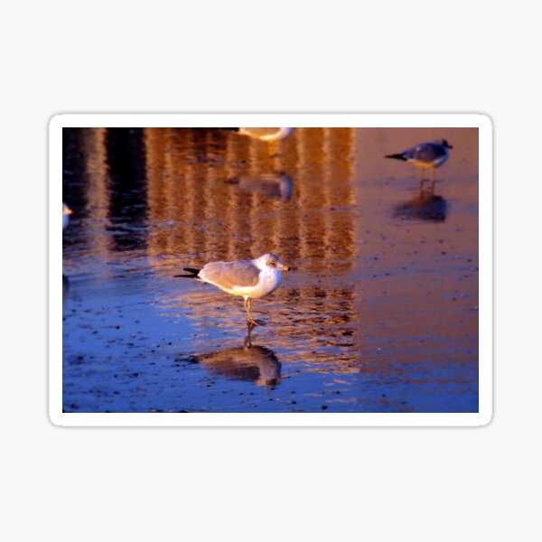 Good Morning Sticker