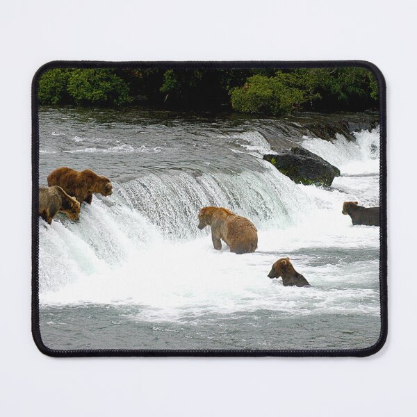 Item preview, Bears catching a salmon at Brooks falls in Katmai National Park in Alaska - WelshDesigns designed and sold by welshdesigns.