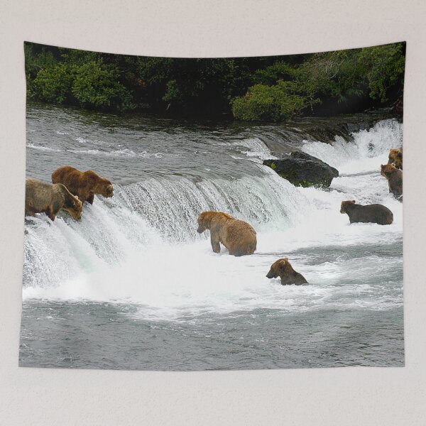 Item preview, Bears catching a salmon at Brooks falls in Katmai National Park in Alaska - WelshDesigns designed and sold by welshdesigns.