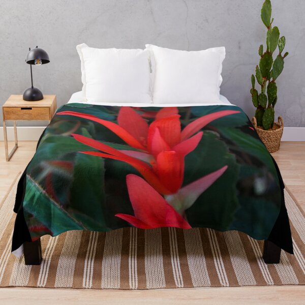 Item preview, Rising Red Christmas Fuchsia designed and sold by Photomersion.