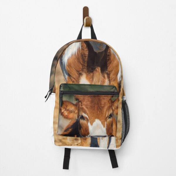 Item preview, Cow with horns alone in field designed and sold by noblephoto.