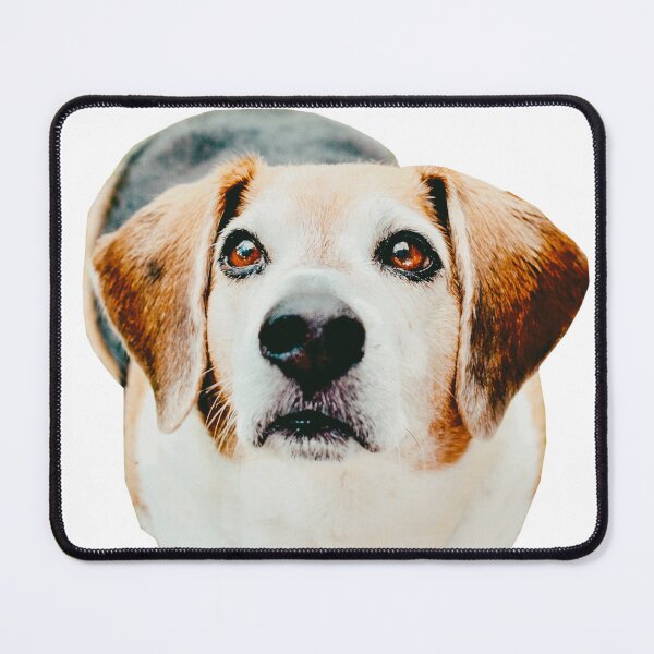 Item preview, Beagle designed and sold by sorciere-bleue.