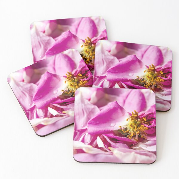Item preview, Scattered petal pink Bulgarian oleaginous rose designed and sold by yanzappa.