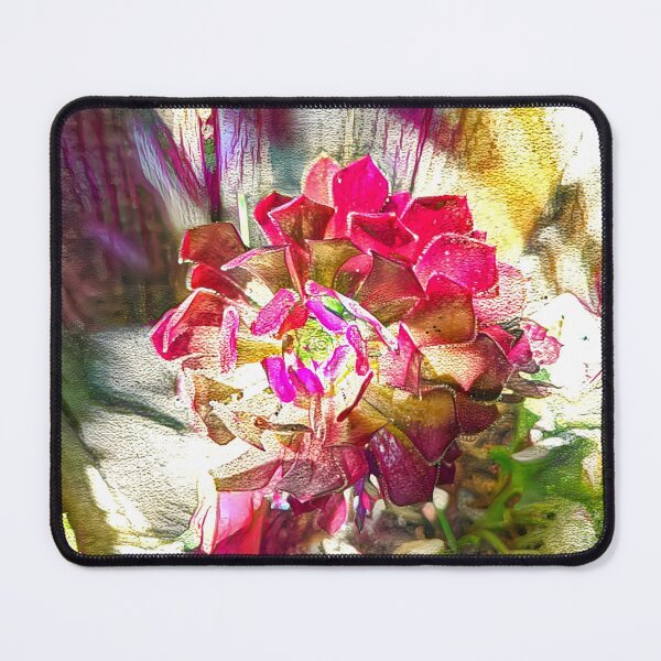 Item preview, Aeonium Arboreum Tree Aeonium Tree Houseleek Irish Rose designed and sold by SanArtcisco.