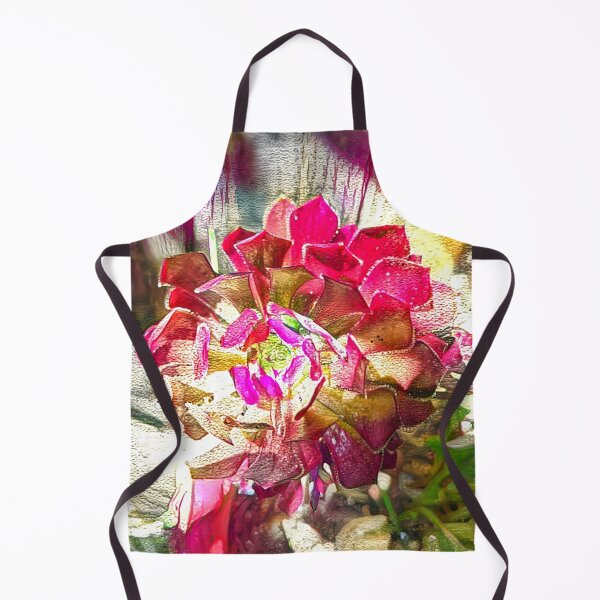 Item preview, Aeonium Arboreum Tree Aeonium Tree Houseleek Irish Rose designed and sold by SanArtcisco.