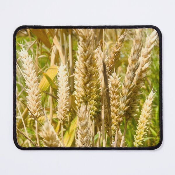 Item preview, Be Generous with Wheat and Grain for the World designed and sold by Photomersion.