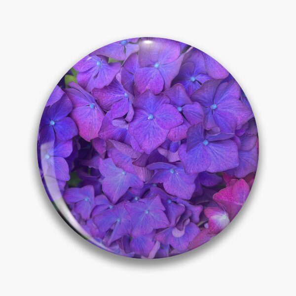 Item preview, The Riotous Color of the Summer Hydrangea designed and sold by Photomersion.