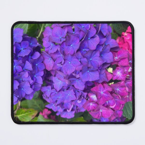 Item preview, The Riotous Color of the Summer Hydrangea designed and sold by Photomersion.