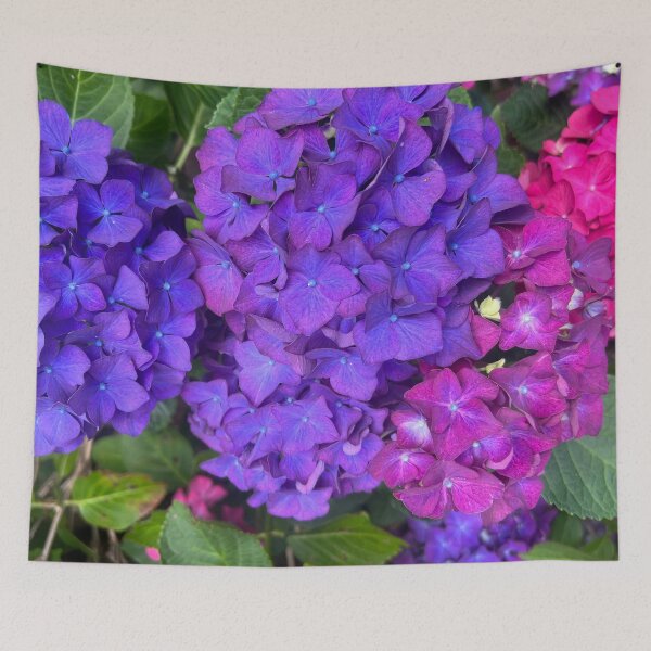 Item preview, The Riotous Color of the Summer Hydrangea designed and sold by Photomersion.