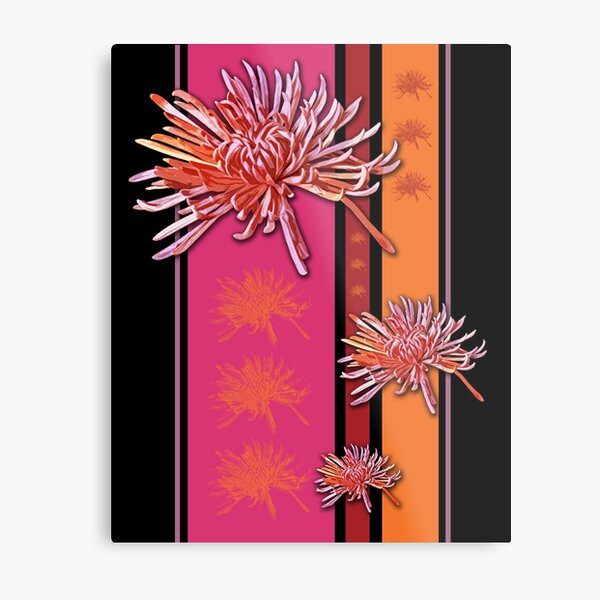 Spider Mums Metal Print