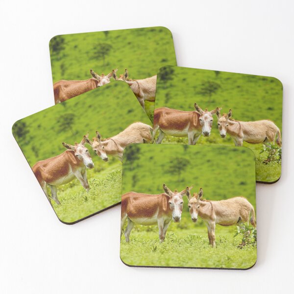 Item preview, Donkeys designed and sold by LifeInLens.