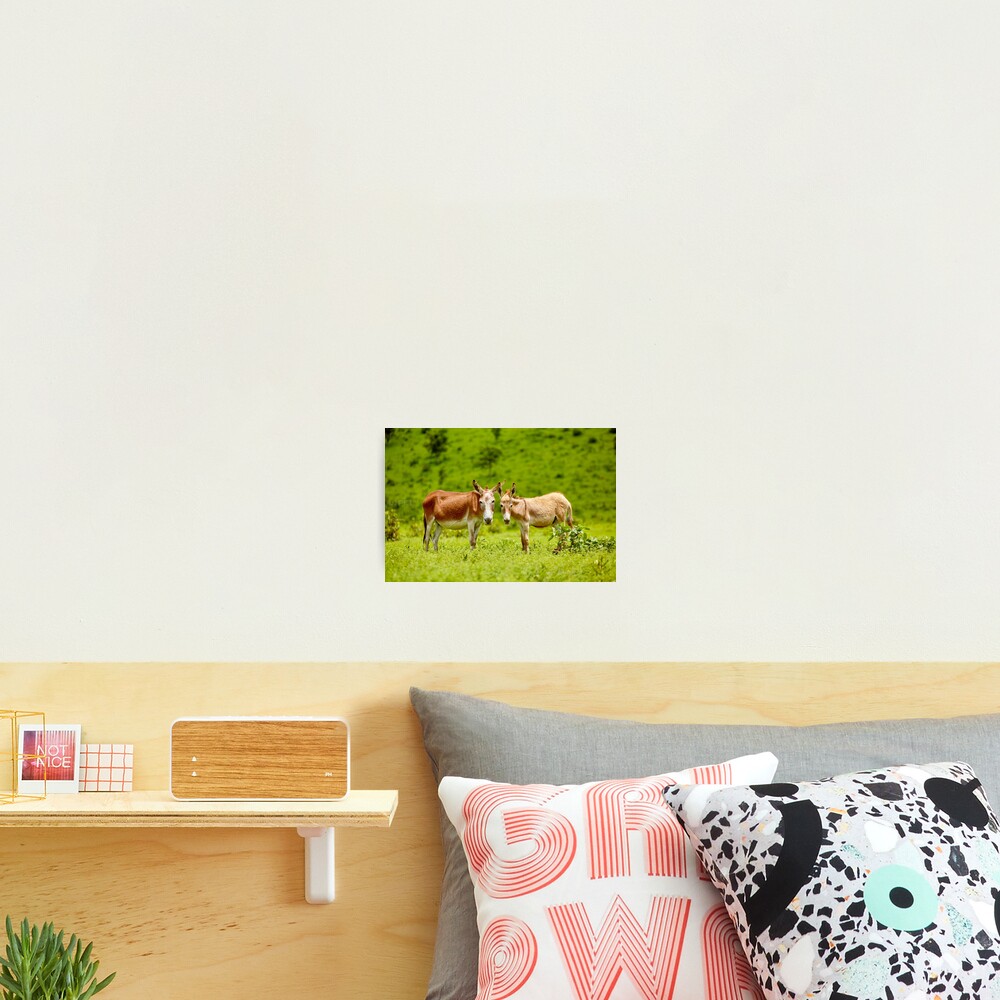 Item preview, Photographic Print designed and sold by LifeInLens.