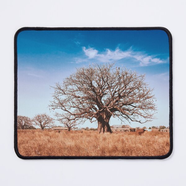 Item preview, the baobab tree designed and sold by LifeInLens.