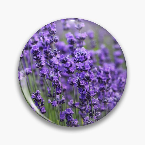 Item preview, Lavender Field designed and sold by newburyboutique.