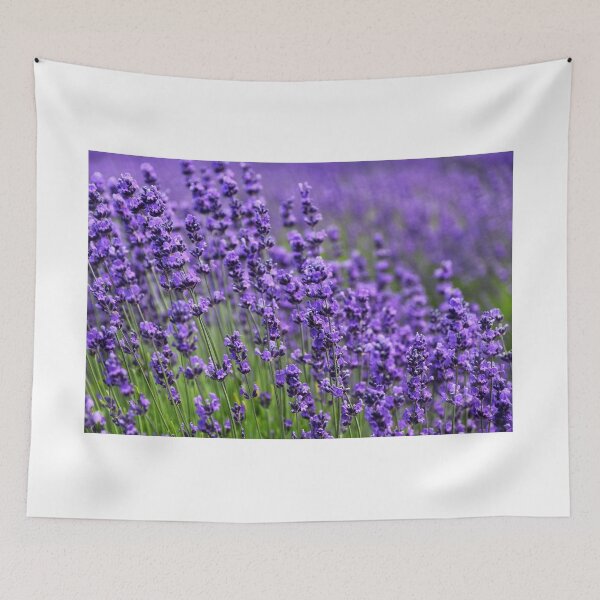 Item preview, Lavender Field designed and sold by newburyboutique.