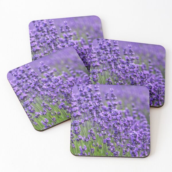 Item preview, Lavender Field designed and sold by newburyboutique.