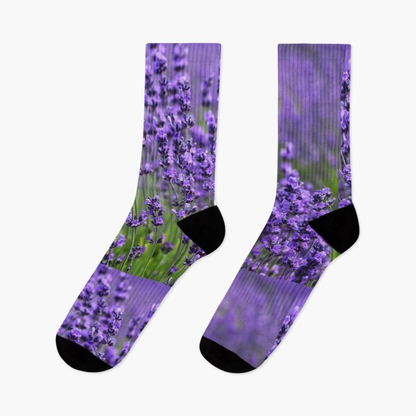 Item preview, Lavender Field designed and sold by newburyboutique.