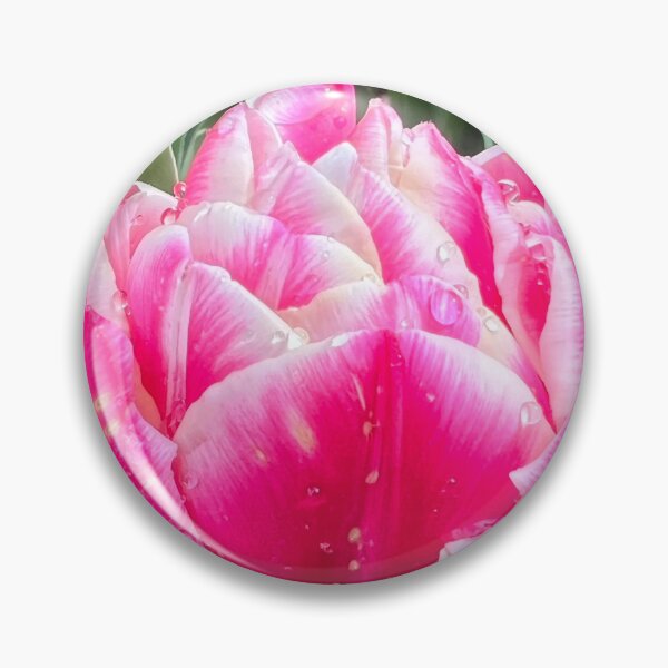 Item preview, Two Lips Together of the Perfectly Pink Summer Tulip designed and sold by Photomersion.
