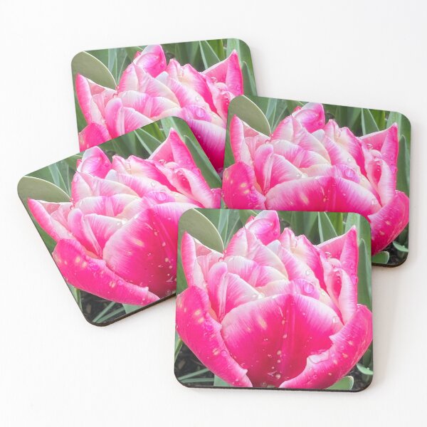 Item preview, Two Lips Together of the Perfectly Pink Summer Tulip designed and sold by Photomersion.
