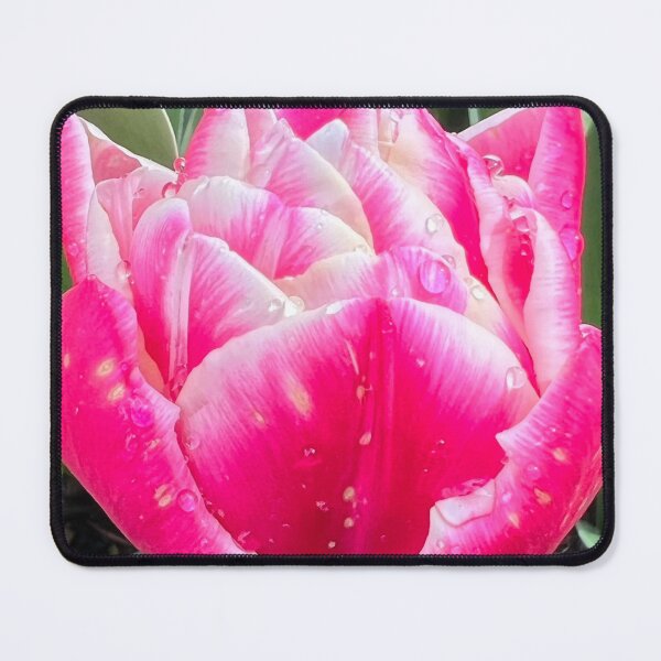 Item preview, Two Lips Together of the Perfectly Pink Summer Tulip designed and sold by Photomersion.
