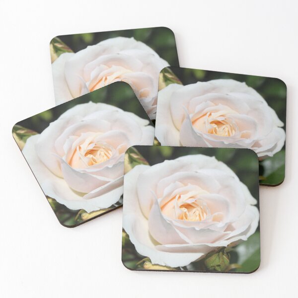 Item preview, Beautiful white rose flower picture. Floral photo art. Love, friendship and romance. designed and sold by naturematters.